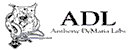 ADL